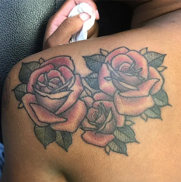 Flower, Rose, Nature