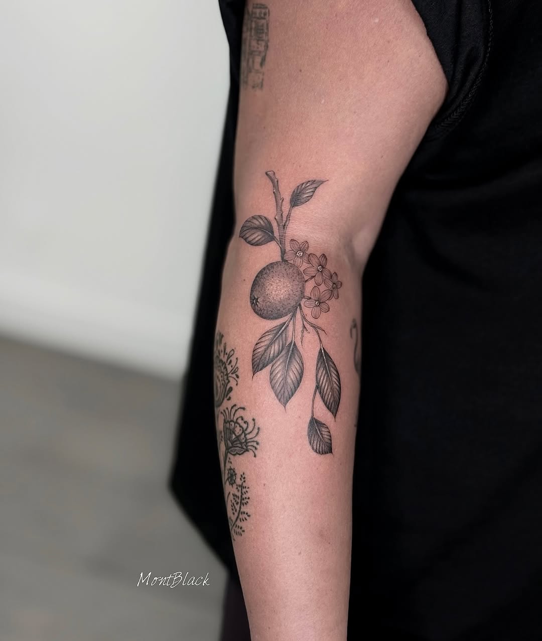 Flower, Rose, 레몬