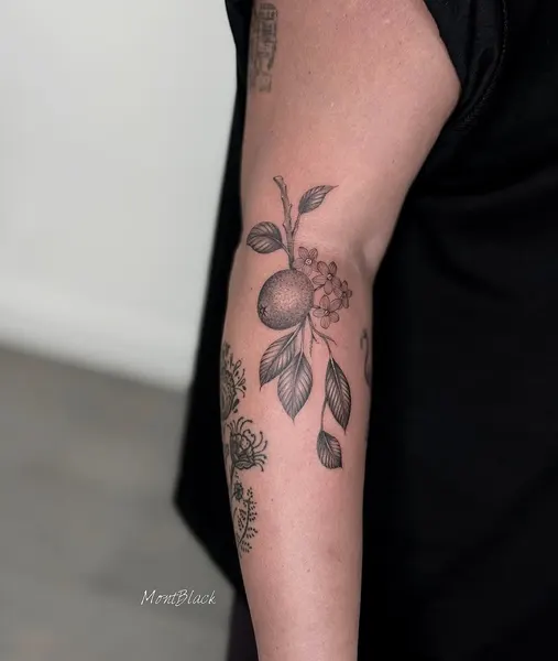 Flower, Rose, 레몬
