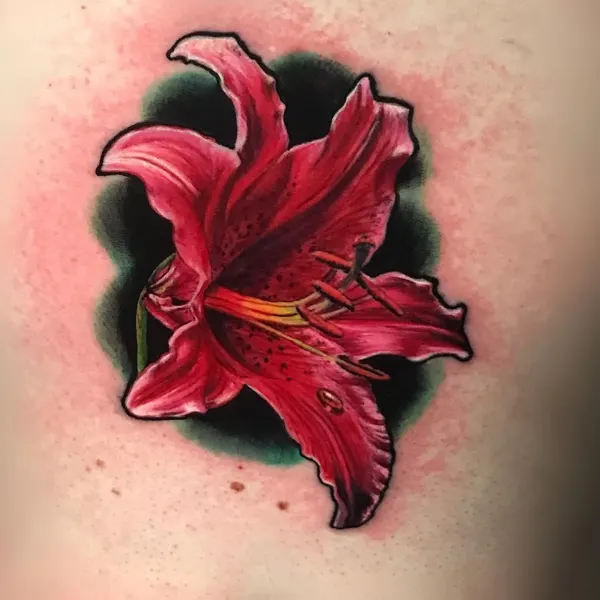 Flower, 히비스커스, 난초, 백합