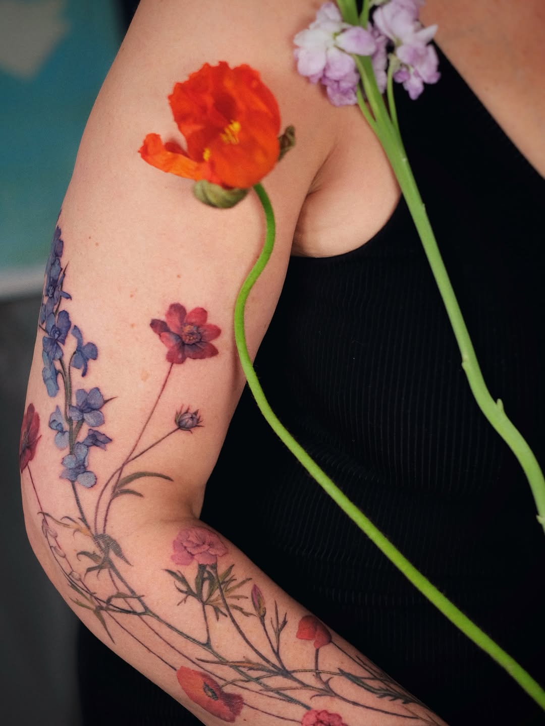 Flower, Rose