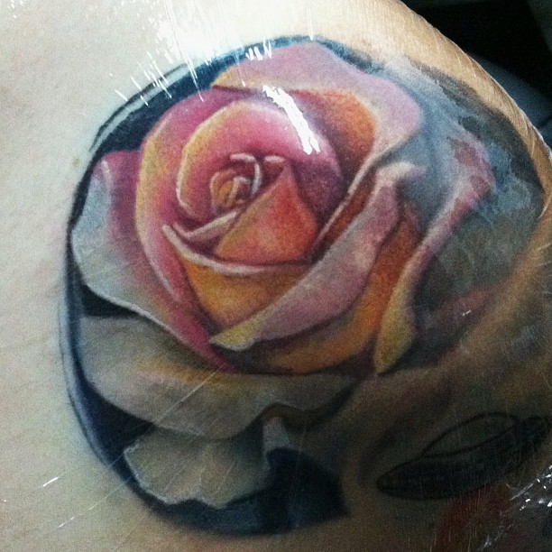 Flower, Rose