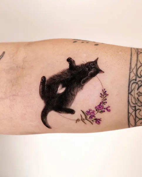 Animal
