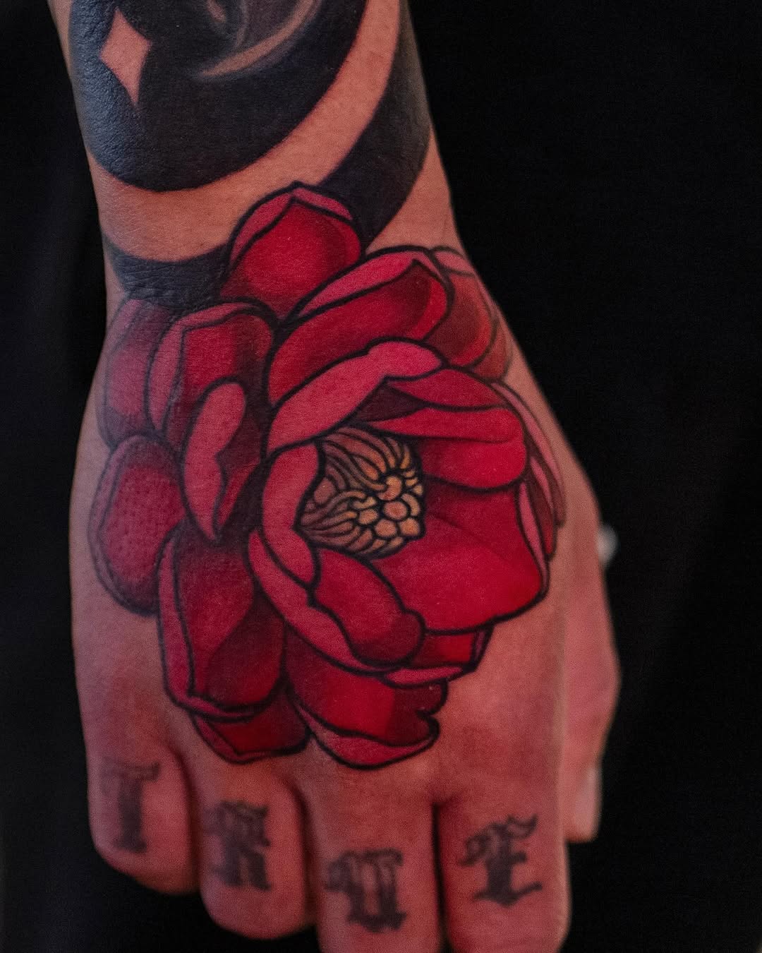 Flower, Rose