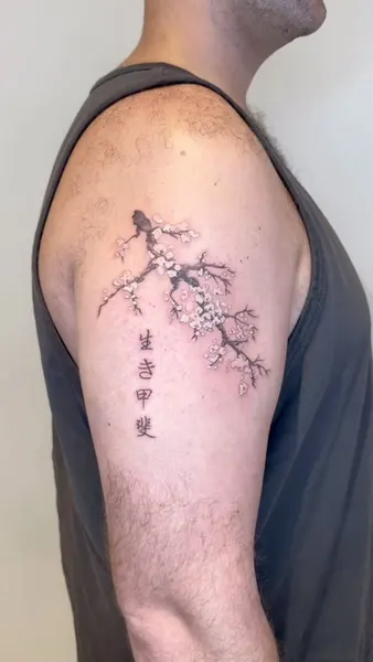 Nature, 고궁, 대나무, 일본 단풍, 요괴, 일본, 한국, 한자, 가부키, 일본어 레터링, 일본 구름, 일본 전통, 일본 파도, 한국 구름, 한자 레터링