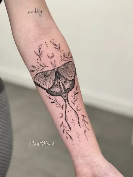 Animal, Nature