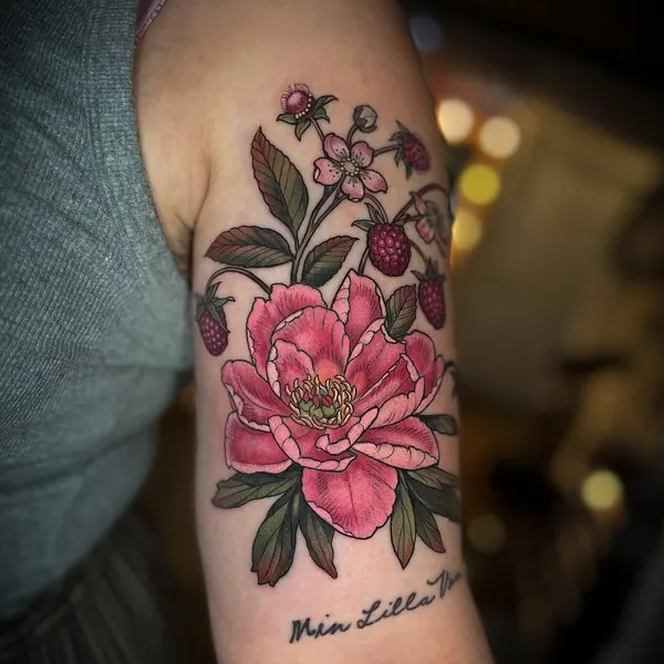 Flower, Rose, Nature