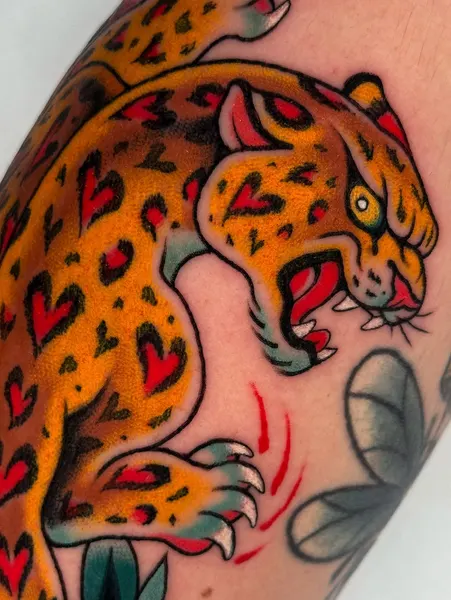 Tiger, Animal, 표범
