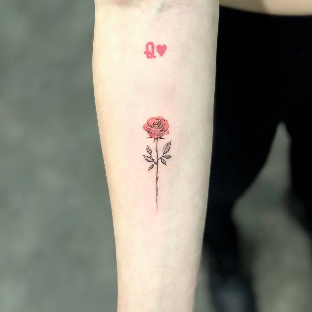 Flower, Rose