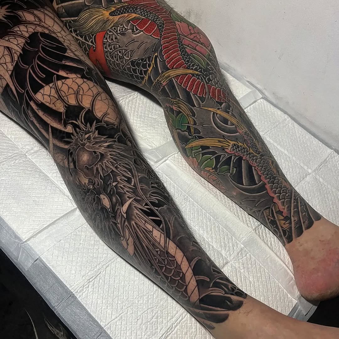 Dragon, Animal