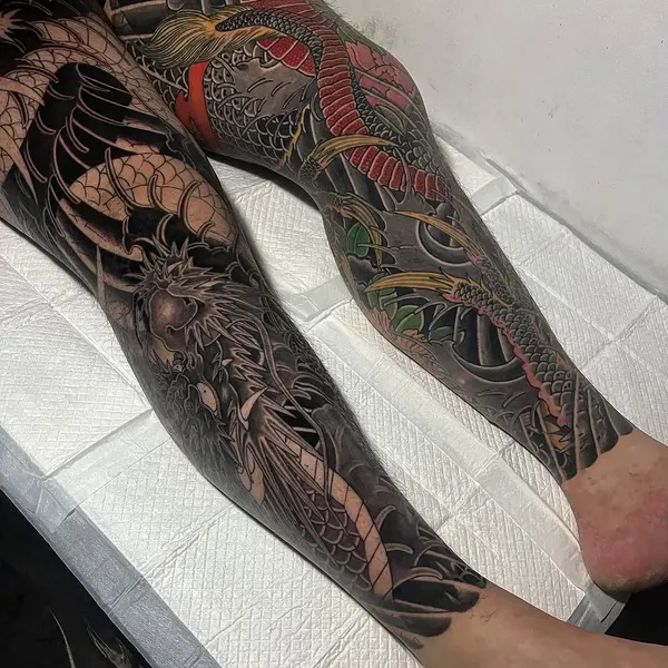 Dragon, Animal