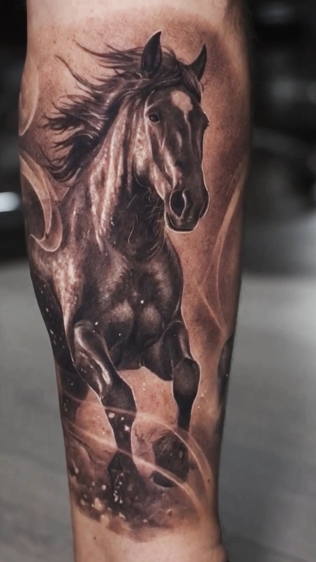 소, 말, 황소