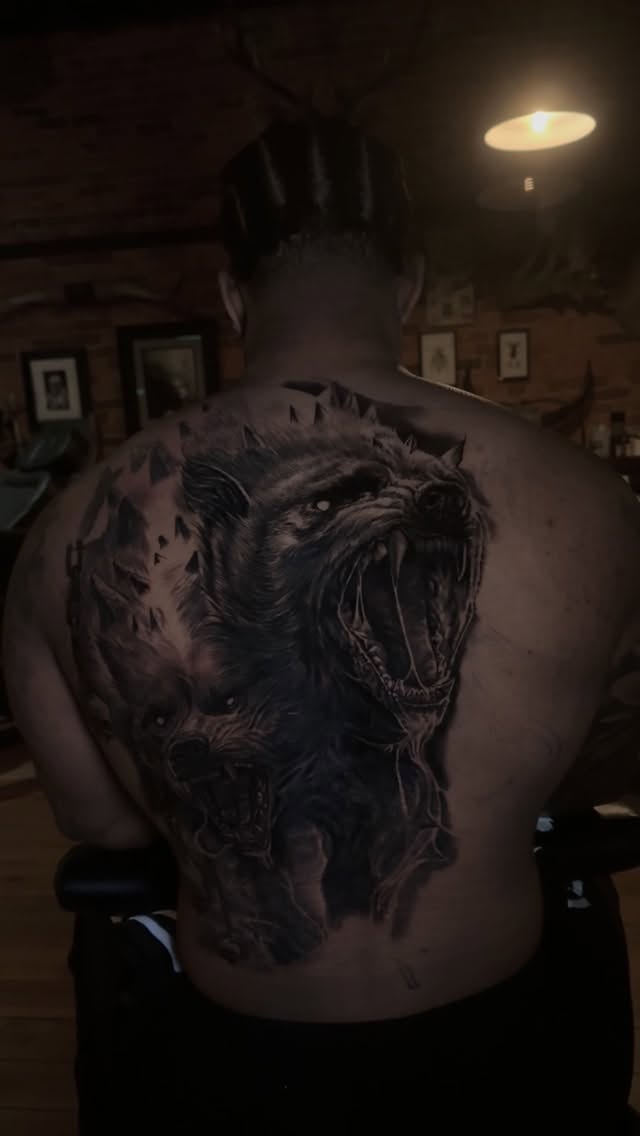 Animal, Tiger, 제우스