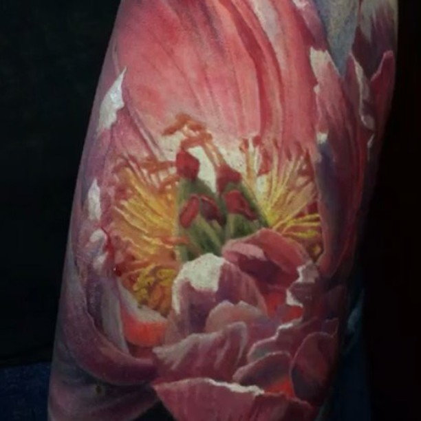 Flower, Rose, 튤립