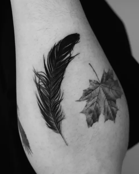 잎, Nature, 단풍잎, 깃털