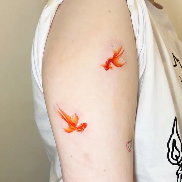 Animal, 수선화, 난초