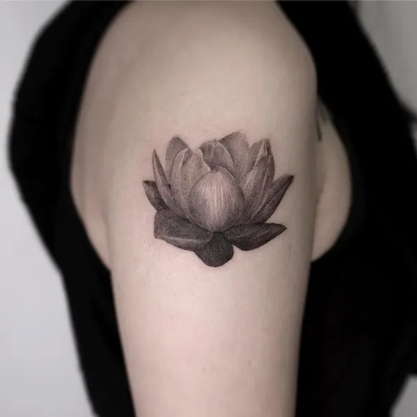 Flower, 모란, 목련, 백합, 연꽃, 튤립, 수선화, 탄생화, 아이리스, 연꽃 문양, 한국 연꽃, 연꽃 만다라, 국화, 매화, 카네이션
