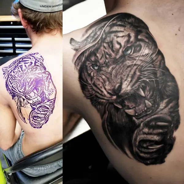 Tiger, 변화