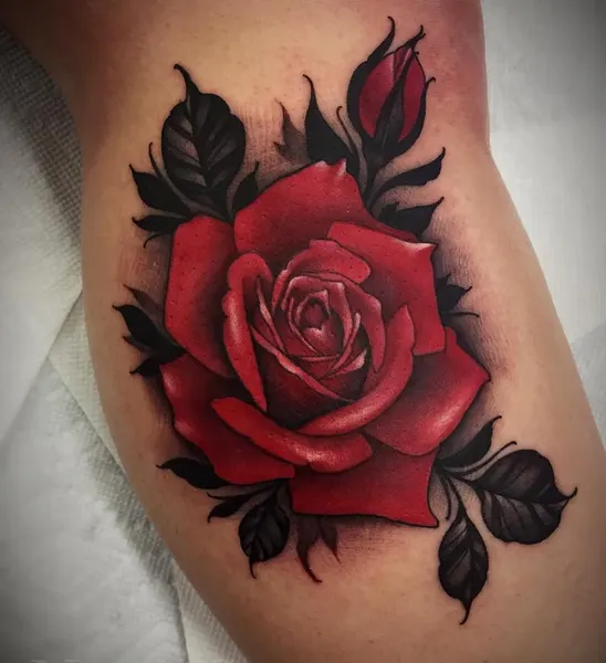 Flower, Rose