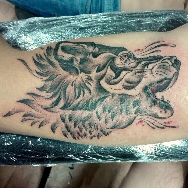 Tiger, Animal