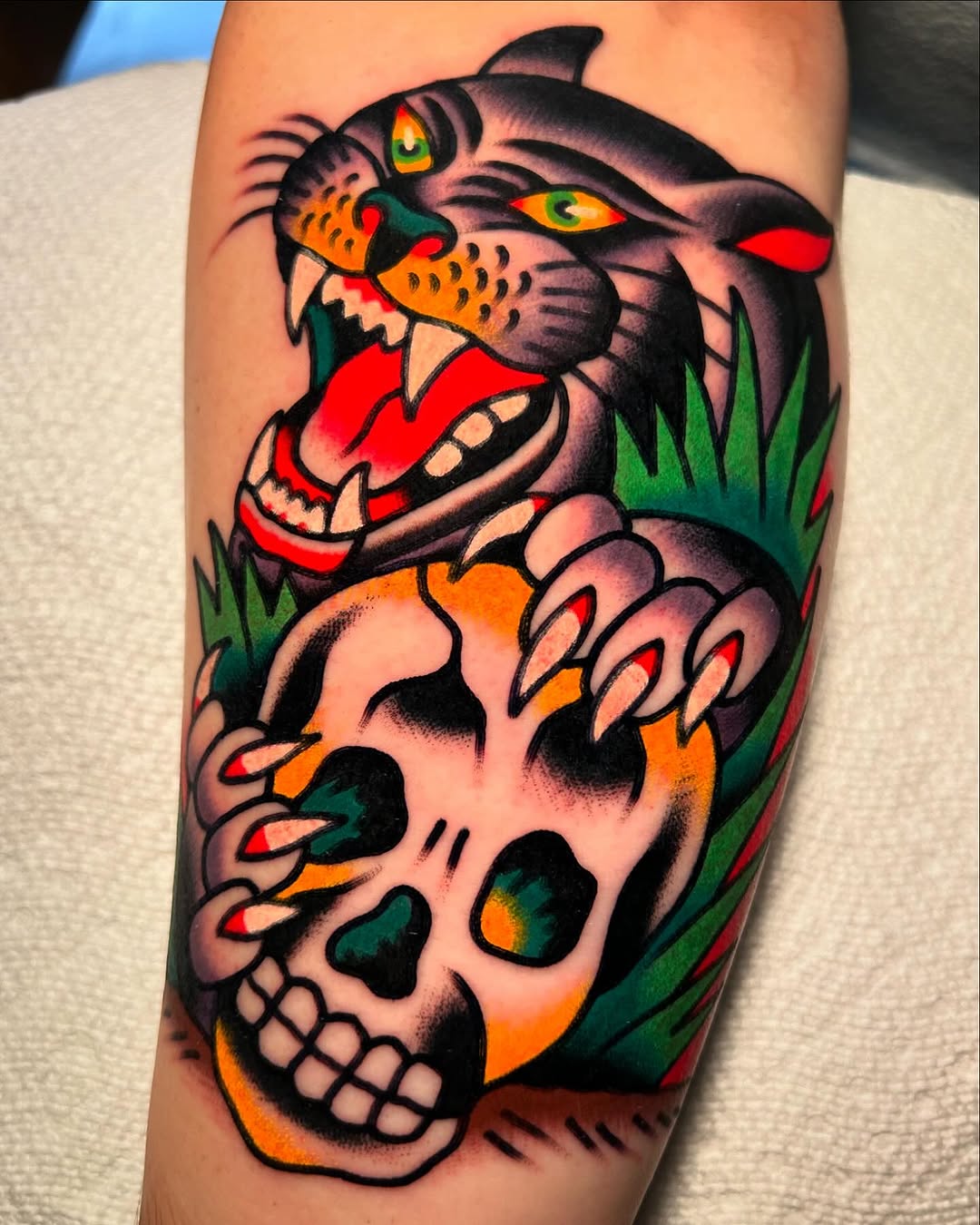 Tiger, Animal