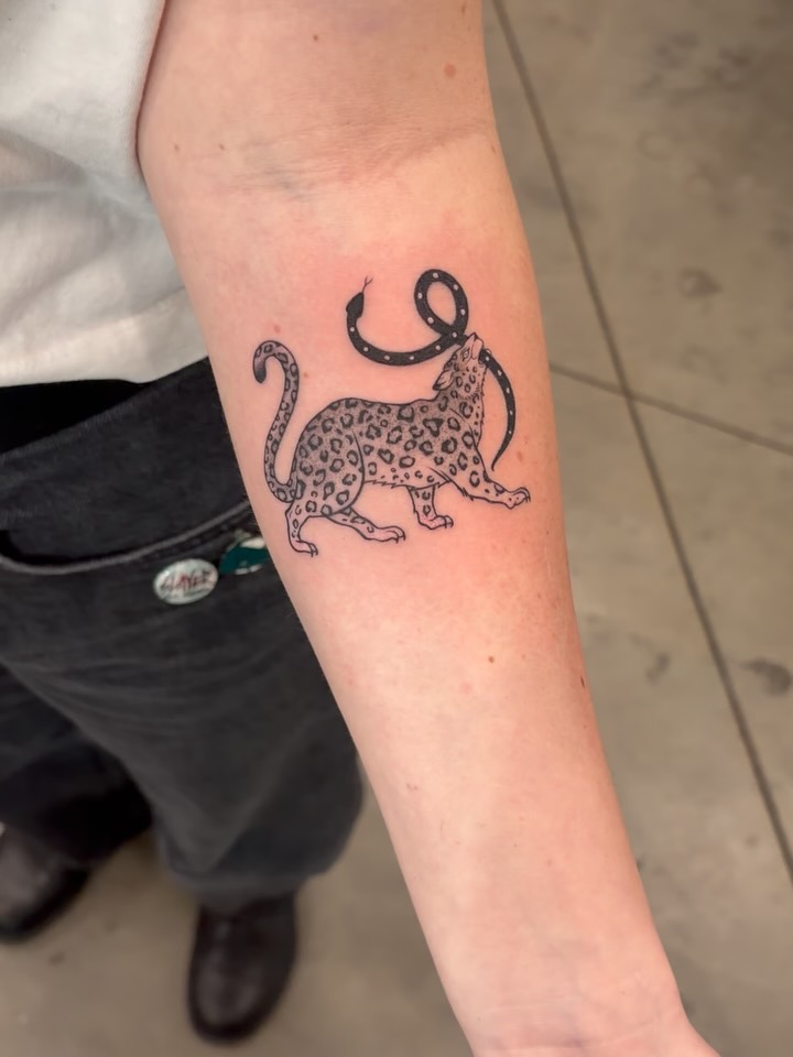 Tiger, Animal, 치타, 팬서, 표범, 여우 가면