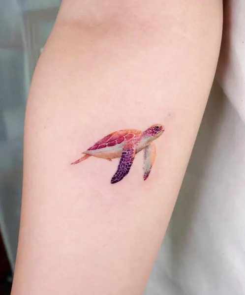 거북이, 바다거북
