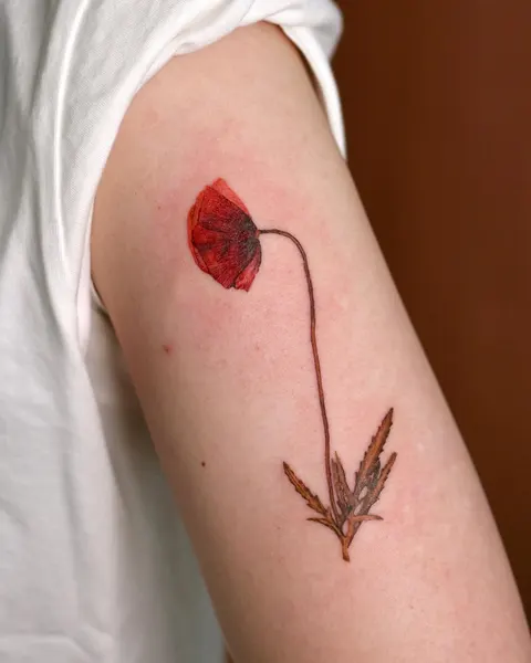Flower, Rose, 양귀비