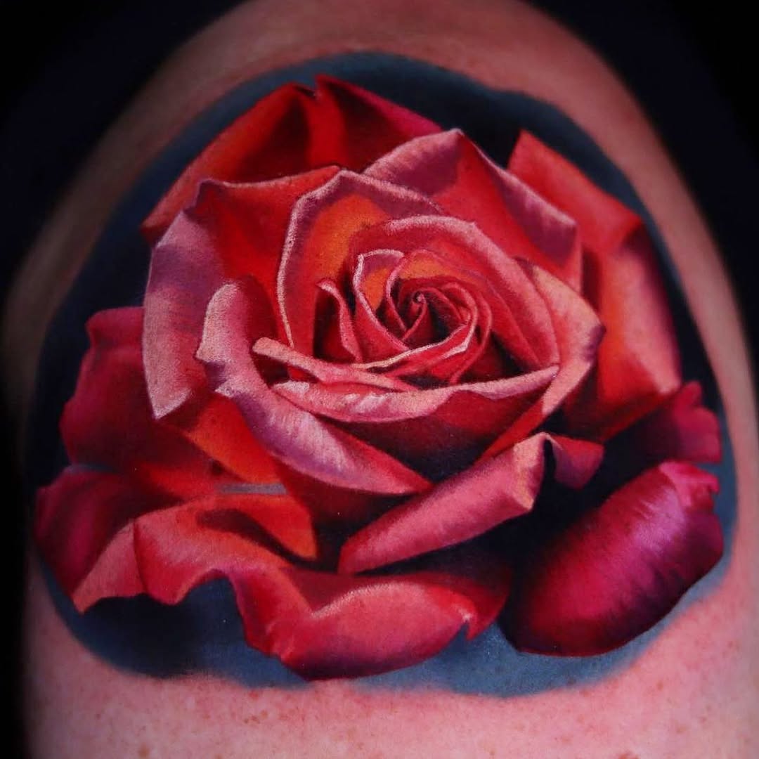 Flower, Rose