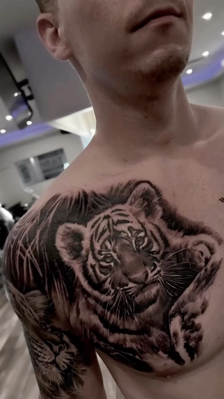 Tiger, 치타, 재규어, 사자자리, 중국 호랑이, 한국 호랑이, 팬서, 일본 호랑이