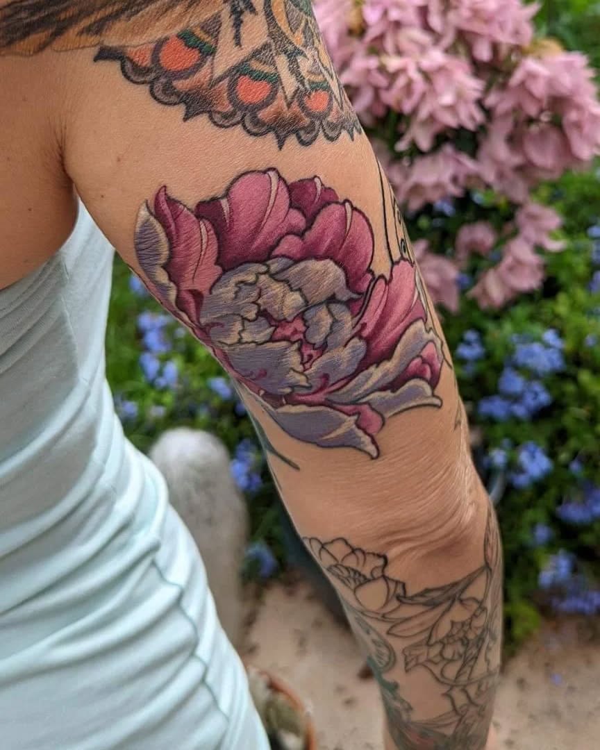 Flower, Rose, 튤립
