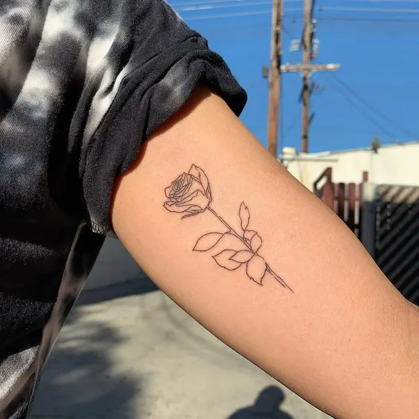 Flower, Rose