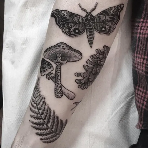 Animal, Nature