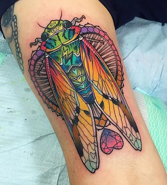 equilattera