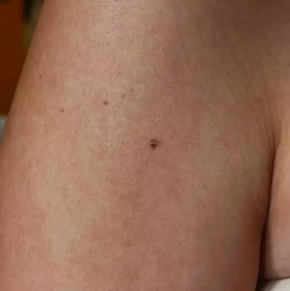 little.tattoos