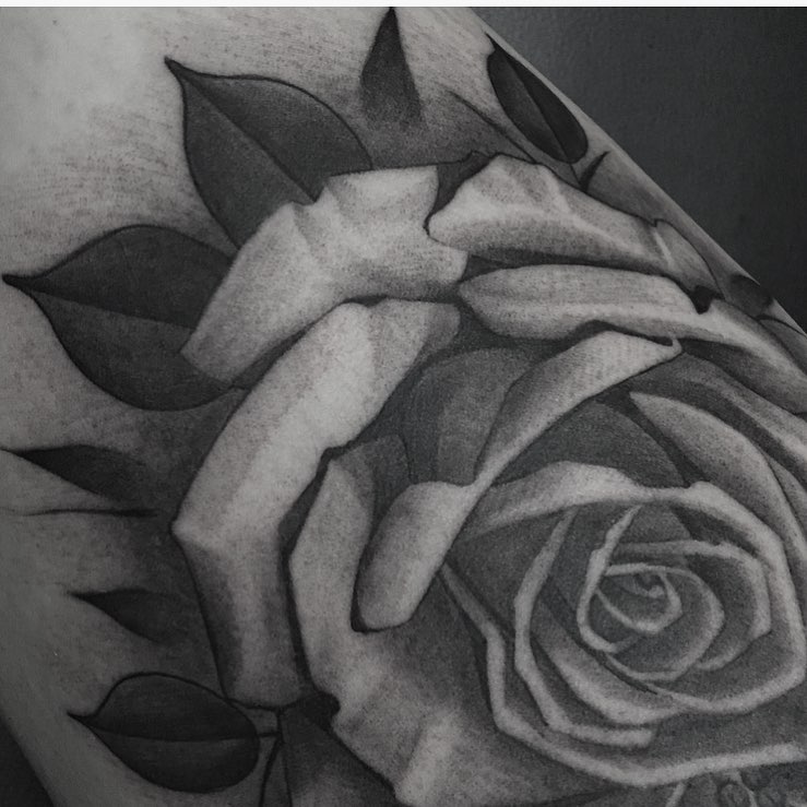 Flower, Rose
