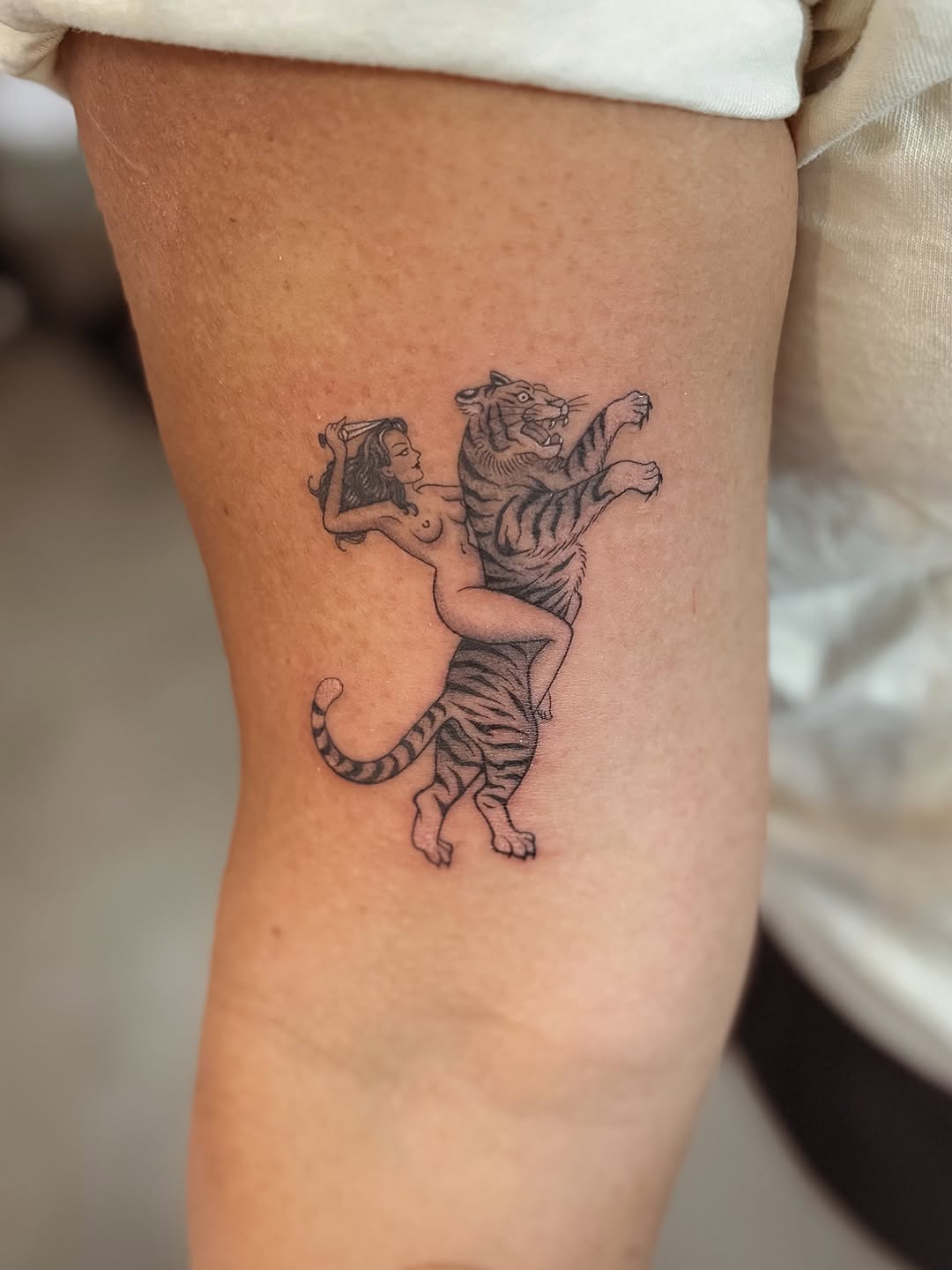 Tiger, Animal, 치타, 팬서, 표범, 여우 가면