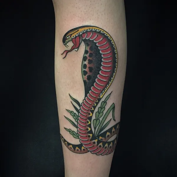 Dragon, Snake