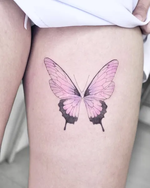 Animal, Nature, 요정, 나방