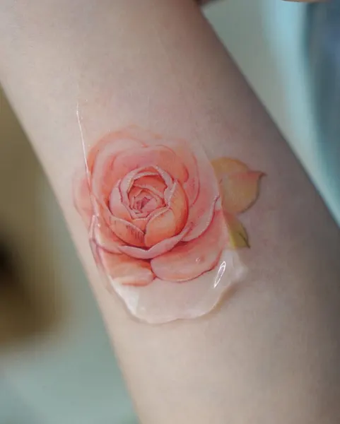 Flower, Rose