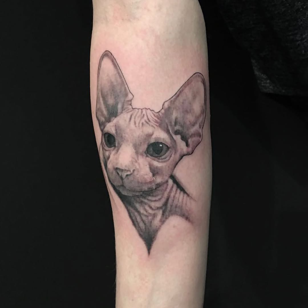 쥐, Animal