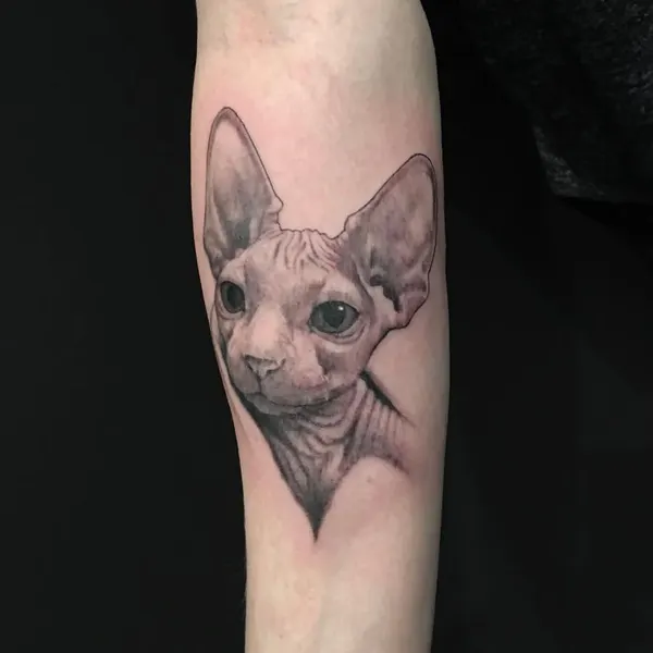 쥐, Animal