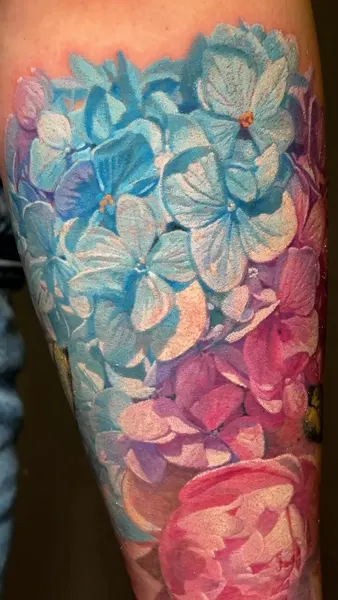 Flower, Rose, 꽃 배경