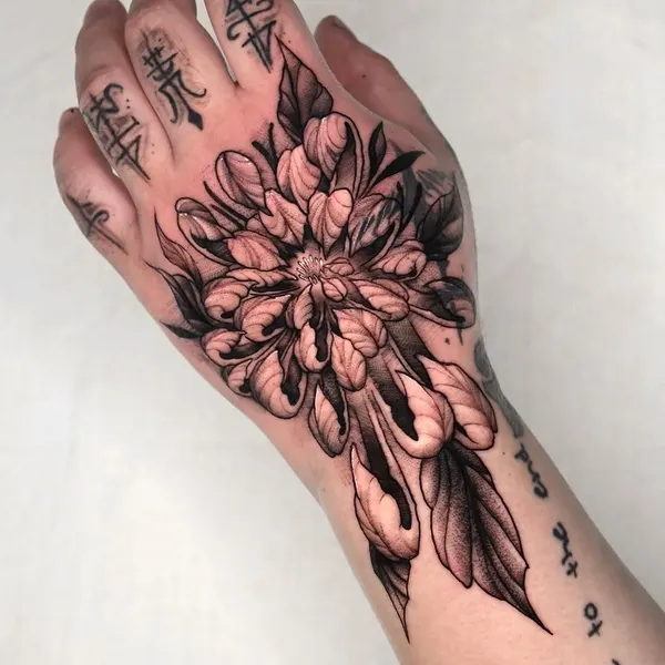 Rose, Flower