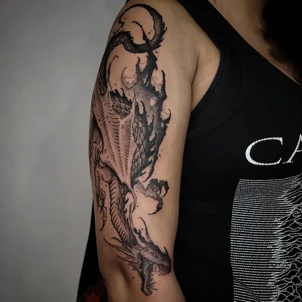 Dragon, 악어, 드래곤 라이더