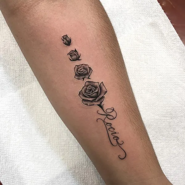 Lettering, Flower, Rose