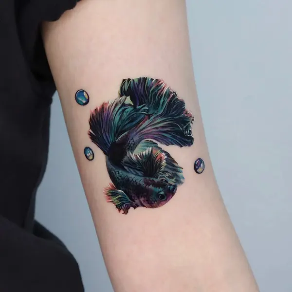 Animal, 산호