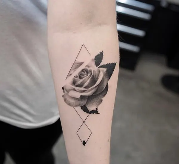 Flower, Rose