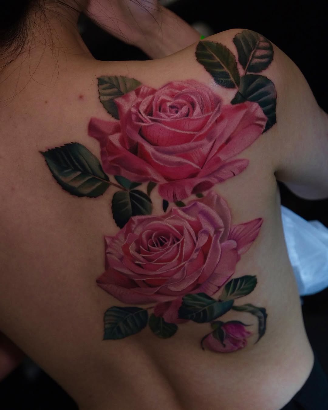 Flower, Rose, Nature