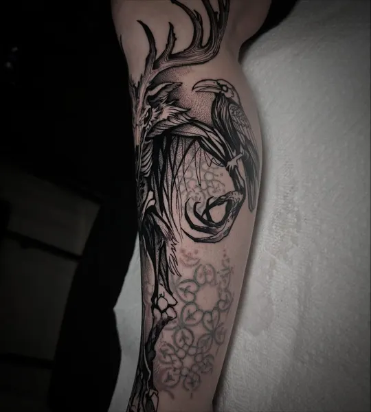 Dragon, Animal